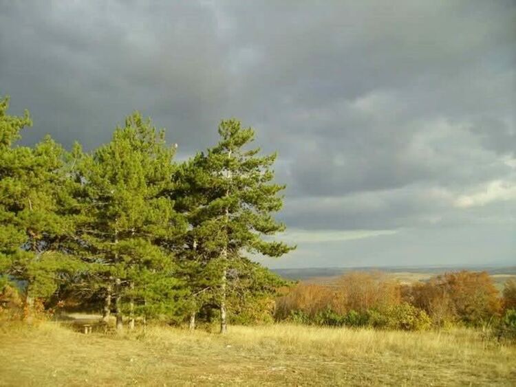 Разширяват обхвата на защитени местности в хасковско