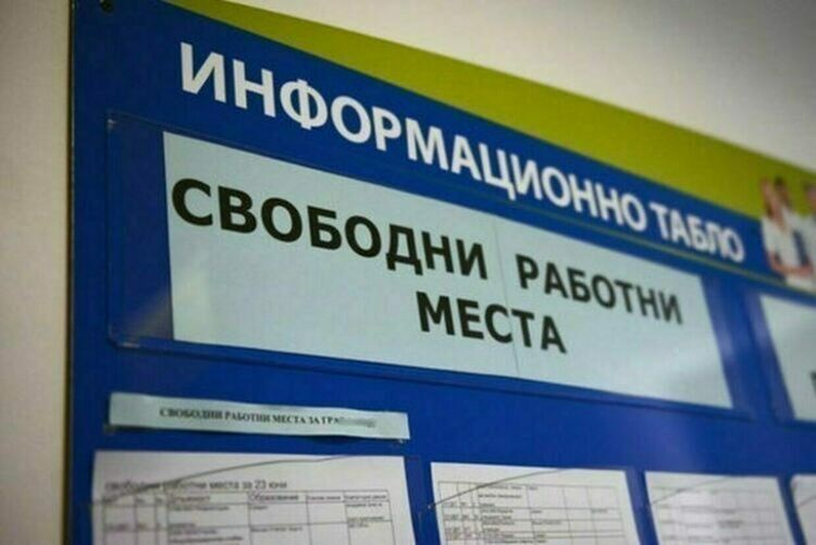 Търсят монтажници на фотоволтаици в хасковско