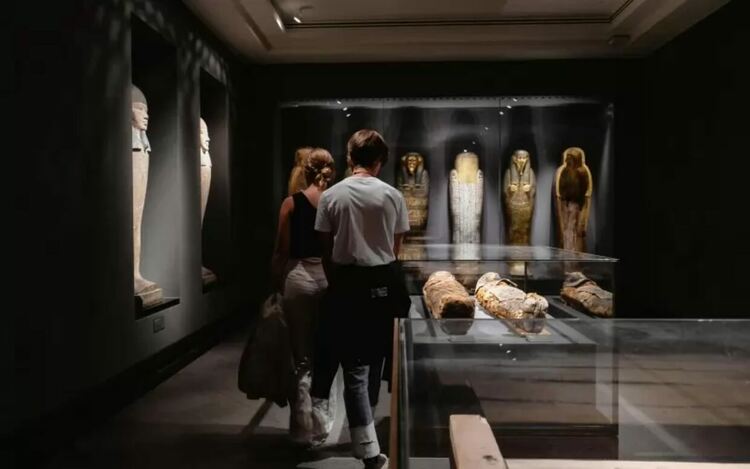 Археолози откриха откъси от &bdquo;Илиада&ldquo; в египетска мумия