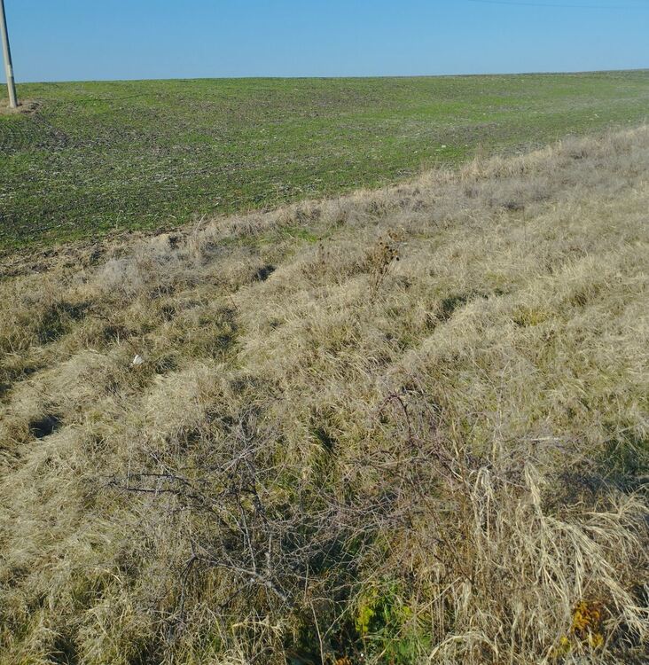 НАП продава два поземлени имота в община Хасково