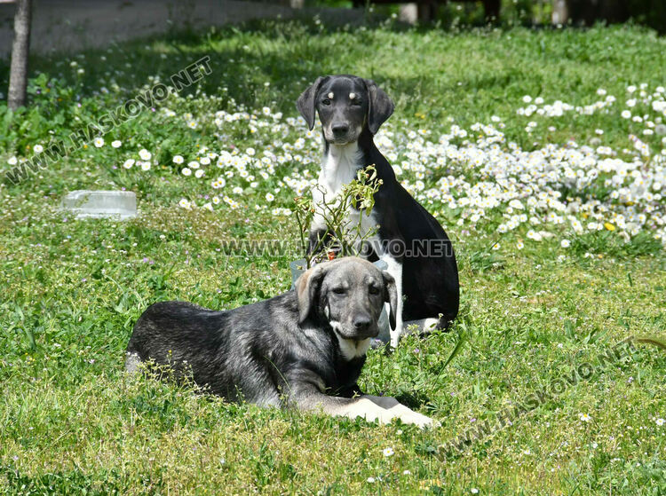 Предимно слънчево, градусите скачат до 21