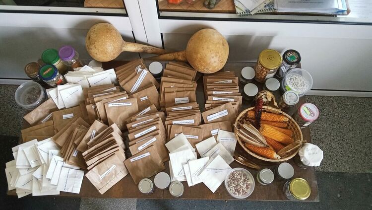 Ден на семената и пчелите ще се проведе в село Долно Белево