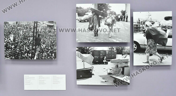 В стопанството в Подкрепа преименували и кравите по време на Възродителния процес