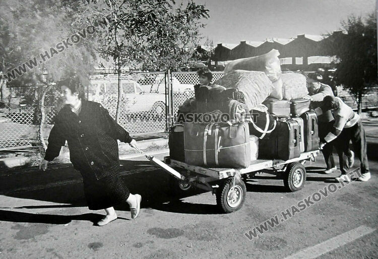 В стопанството в Подкрепа преименували и кравите по време на Възродителния процес