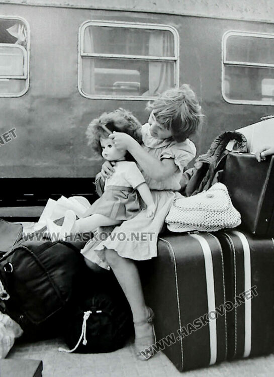 В стопанството в Подкрепа преименували и кравите по време на Възродителния процес