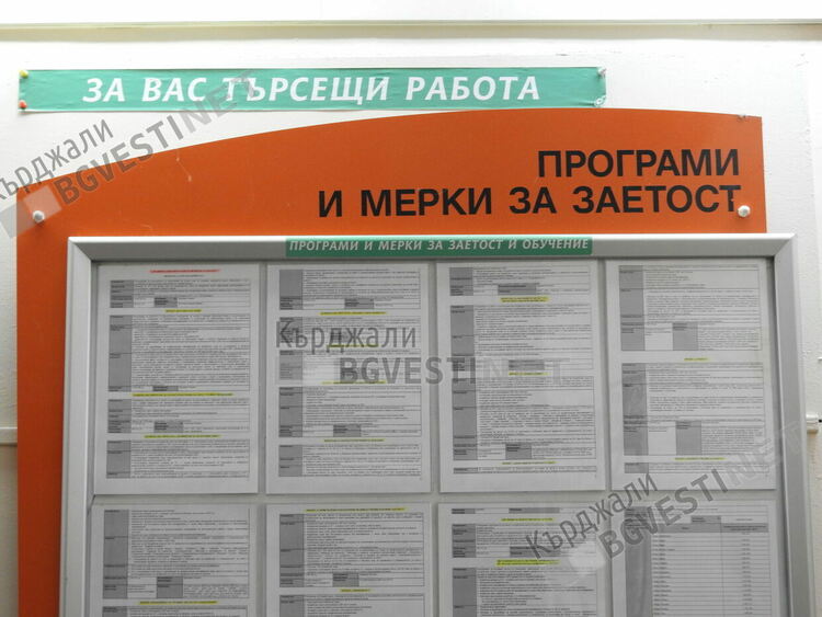 449 души са били наети по програми и проекти за заетост за месец в областта