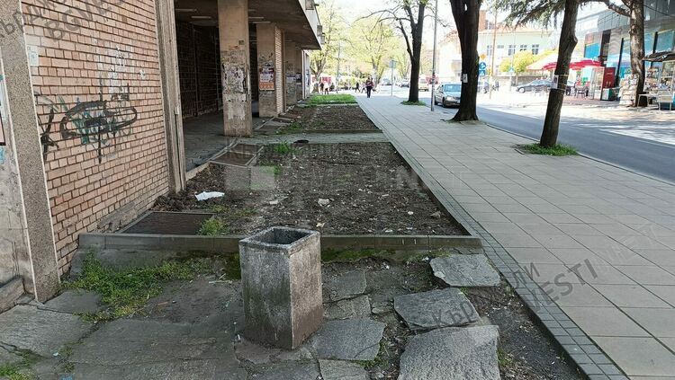 &bdquo;Картофена нива&ldquo; в центъра на Кърджали чака озеленители