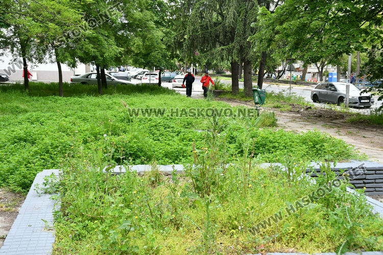 С нова техника косят тревата в хасковските паркове