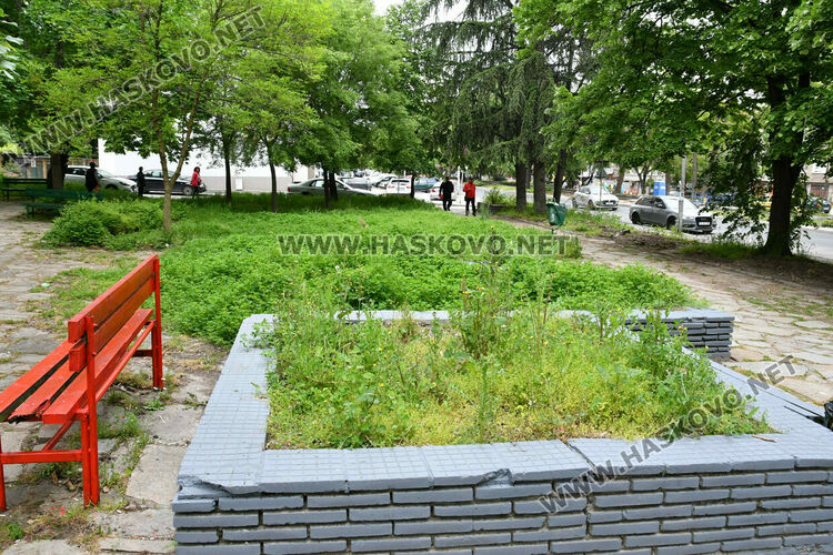 С нова техника косят тревата в хасковските паркове
