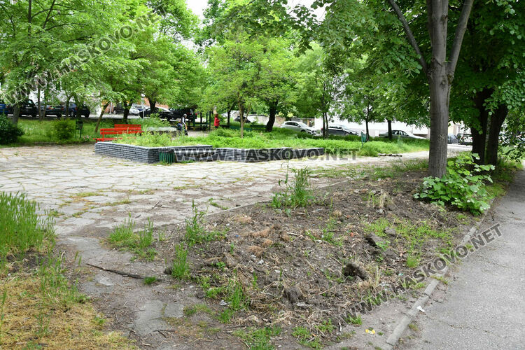 С нова техника косят тревата в хасковските паркове