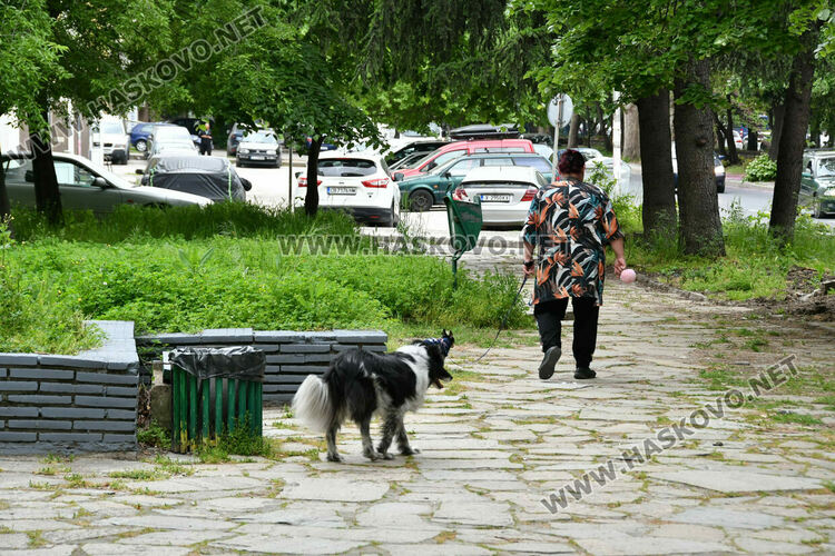 С нова техника косят тревата в хасковските паркове