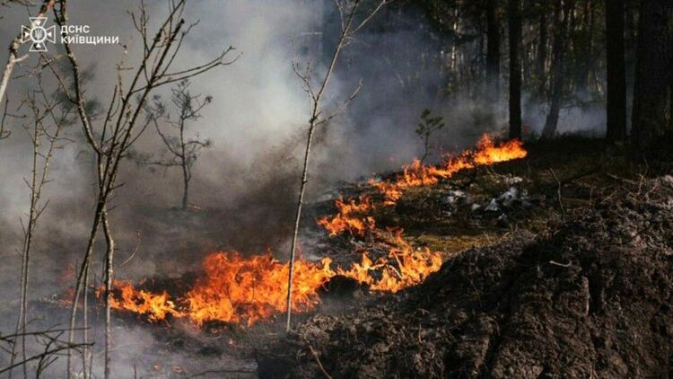 Пожар в забранената зона около Чернобилската атомна централа