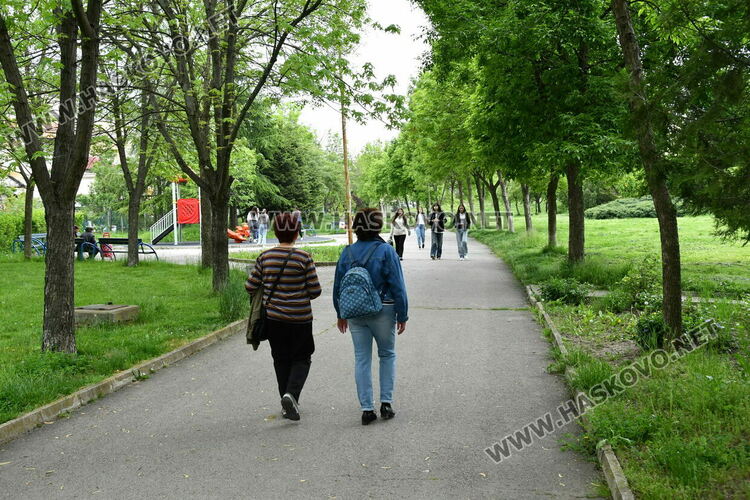 С нова техника косят тревата в хасковските паркове