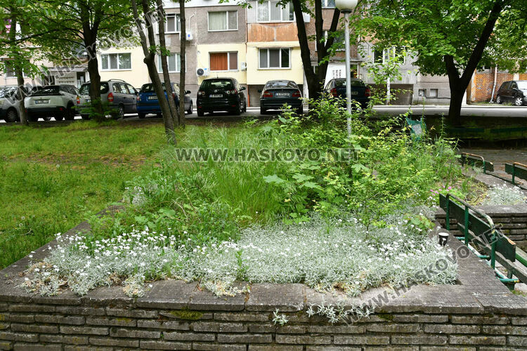 С нова техника косят тревата в хасковските паркове