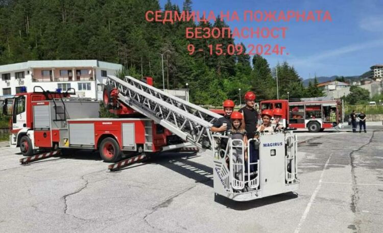 Пожарникари спасиха мъж, нападнат от рояк пчели край Мадан