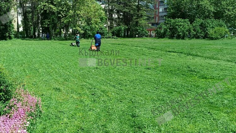 Четири пъти поред косят вече в центъра на Кърджали,незапомнено избуяване на тревата заради дъждовете