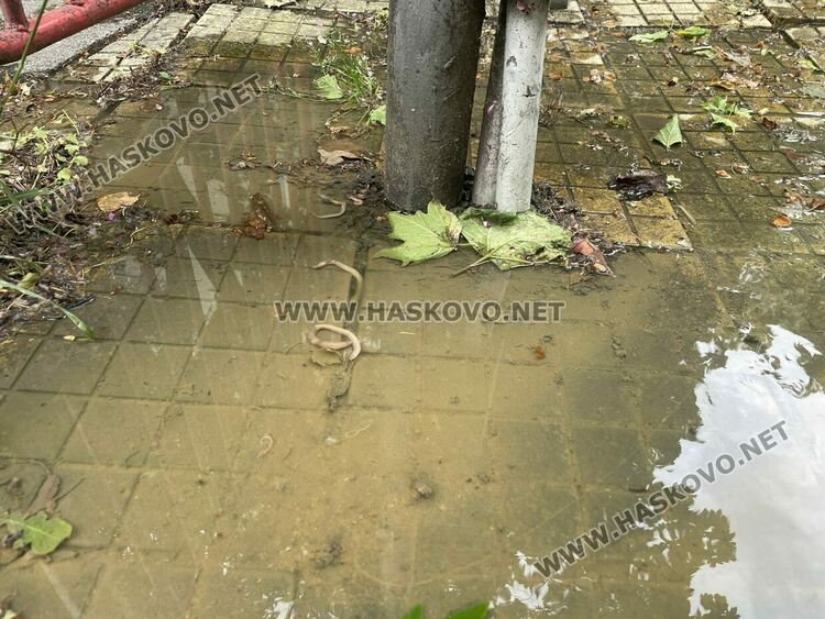 Воняща отпадна вода извира от шахта на детска площадка в Хасково
