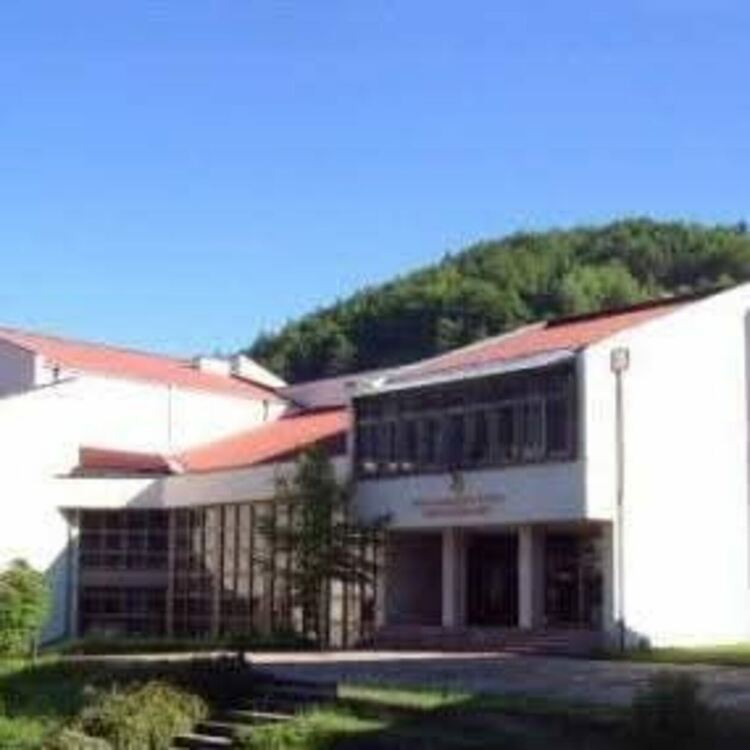 Регионална библиотека &bdquo;Николай Вранчев&ldquo; обяви конкурс за рисунка &bdquo;Образът на Орфей в изкуството&ldquo;