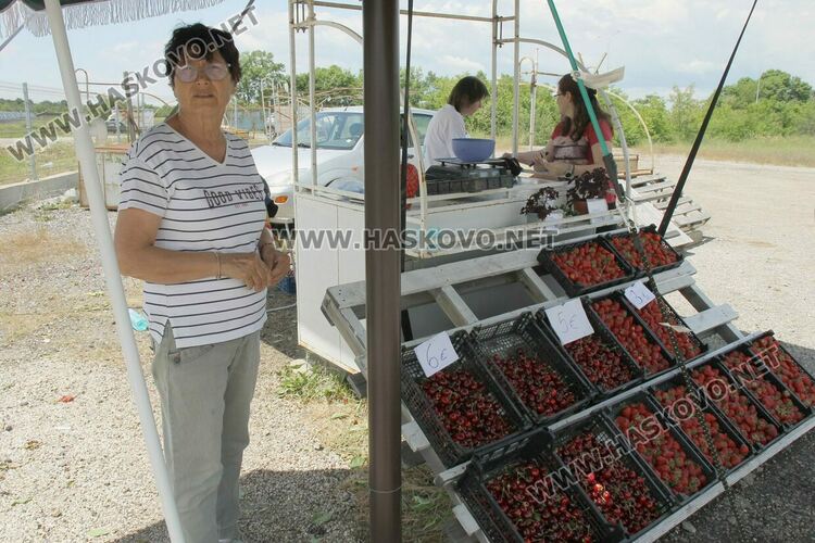 Вкусът на пролетта: Пътят Хасково-Димитровград се изпъстри със сергии с череши и ягоди