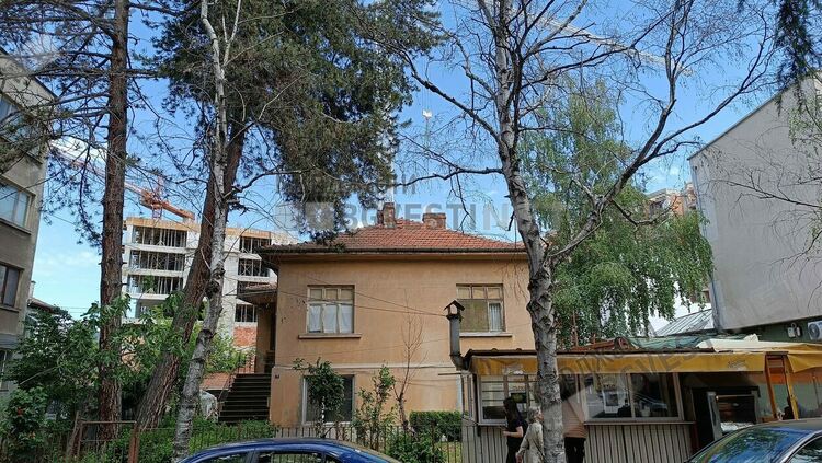 Брезите по бул.&ldquo;Тракия&ldquo;в Кърджали  съхнат,предстои премахването им