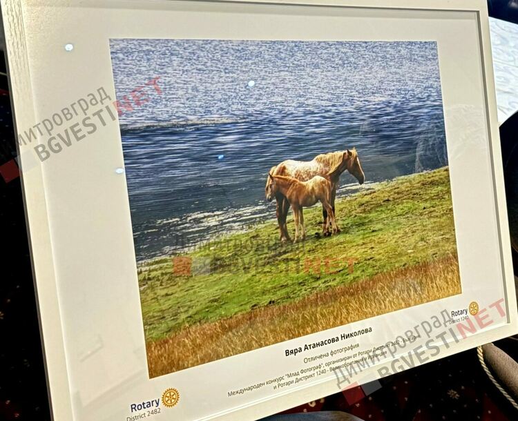 Осмокласничка от Димитровград покори международния конкурс по фотография на Ротари България