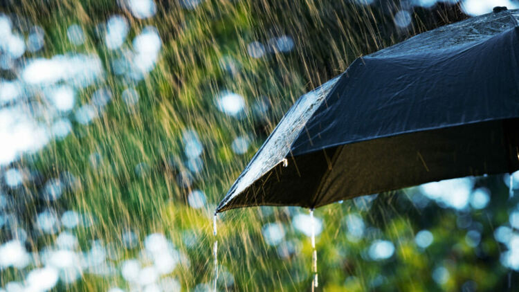 Източник: iStock