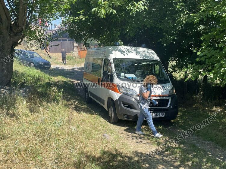 Пожар изпепели стопанска постройка в Татарево, спасиха овце и кози