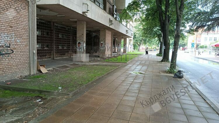 Зелена трева поникна в т.нар.&ldquo;Картофена нива&ldquo;до Пощата след реакция на Кърджали бг вести