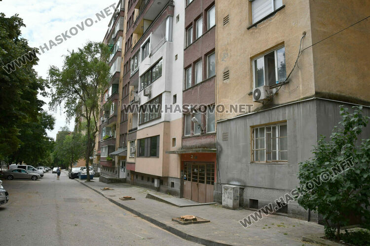 Отстраниха три опасни дървета на ул. &bdquo;Одрин&ldquo; в Хасково