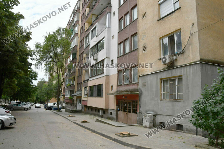 Отстраниха три опасни дървета на ул. &bdquo;Одрин&ldquo; в Хасково