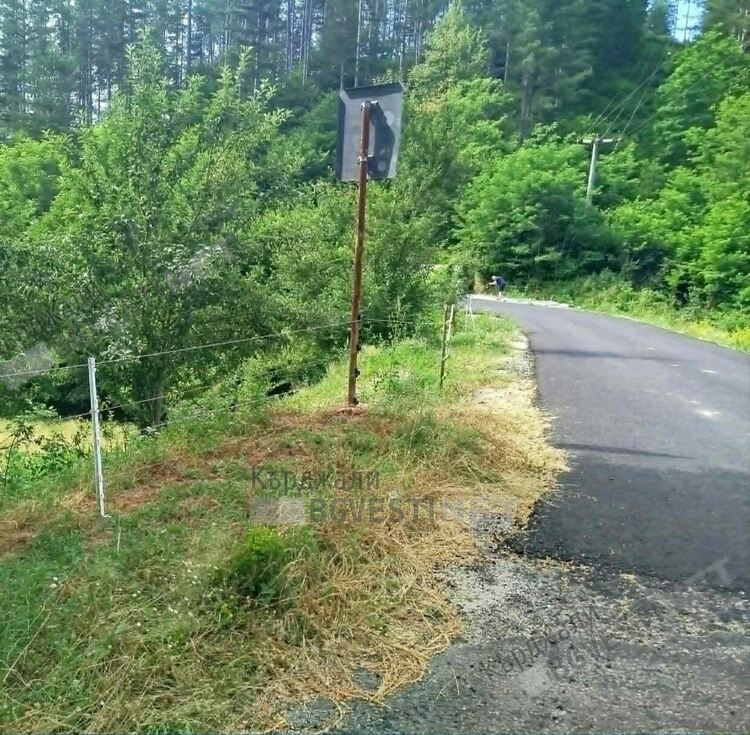 пътя за с.Седларци