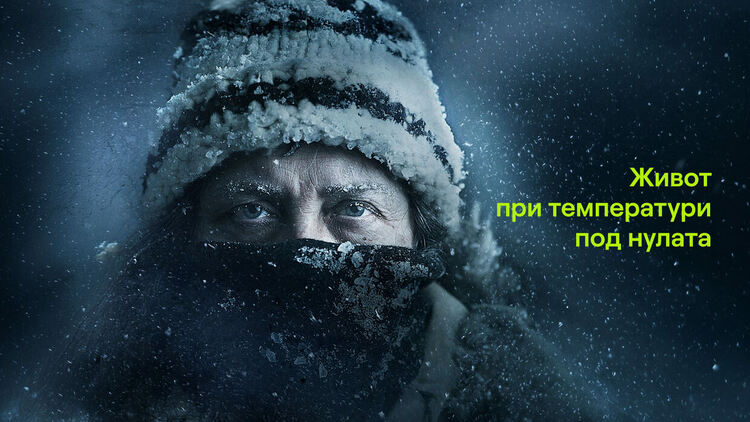 Viasat Nature: Запознайте се с героите на поредицата &bdquo;Живот при температура под нулата&ldquo;