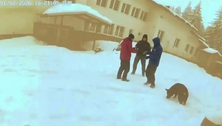 Тодор Тодоров: Пъзелът около мистерията &bdquo;Петрохан&ldquo; започна да се нарежда