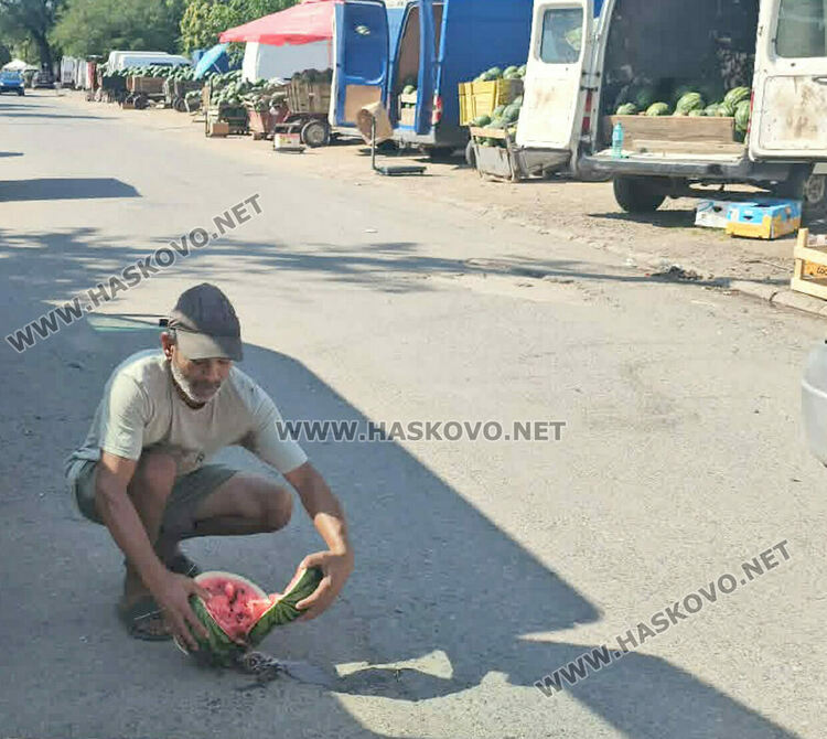 Кило диня на борсата е 8 цента, но прекупвачи няма