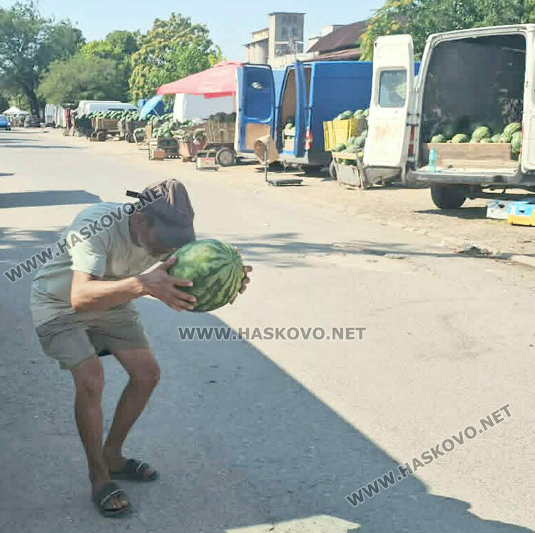 Кило диня на борсата е 8 цента, но прекупвачи няма