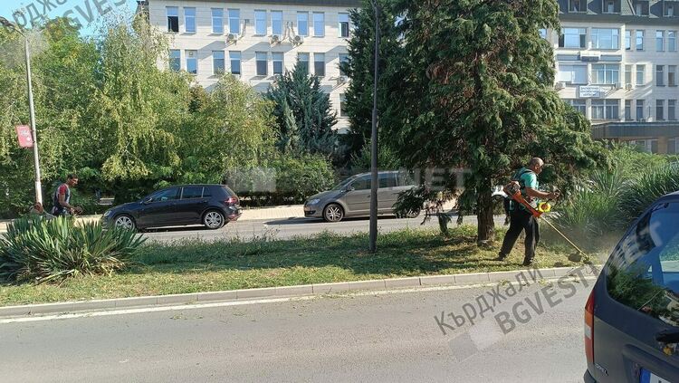 Незапомнено косене в Кърджали,екипи косят в града за десети път тази година