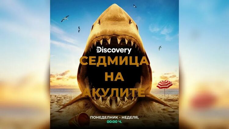 &bdquo;Седмицата на акулите&ldquo; се завръща от 3 август по Discovery