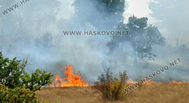14 глобени за пожари в Хасковско, предстоят дни с висок риск