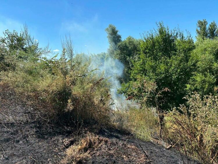 Пожар пламна край парк &bdquo;Димана Данева&ldquo; в Харманли, огънят е овладян
