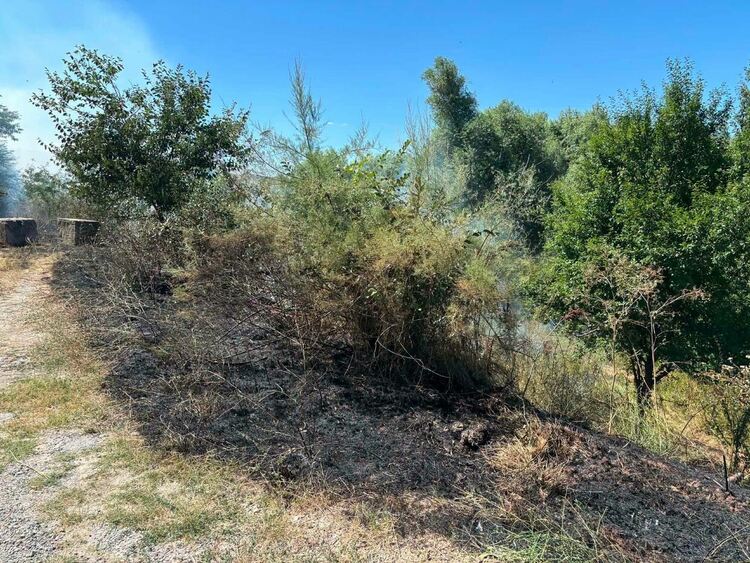 Пожар пламна край парк &bdquo;Димана Данева&ldquo; в Харманли, огънят е овладян