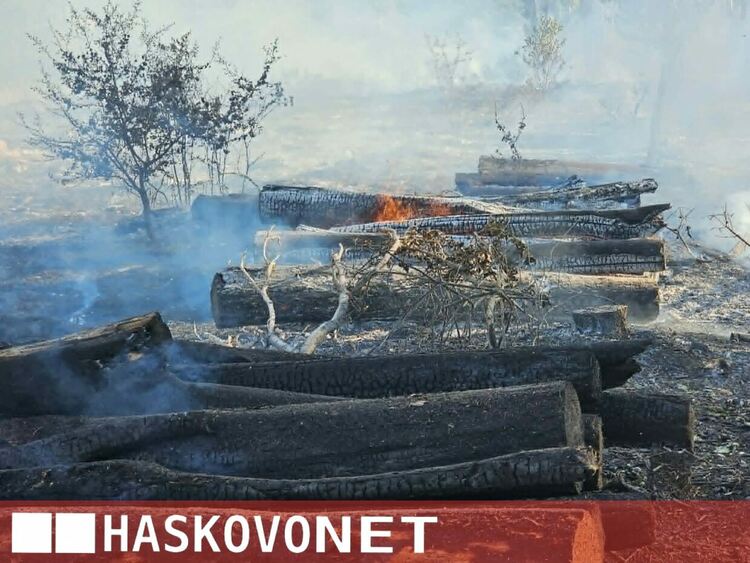 Пожарът край Рогозиново погълна между 50 и 100 дка сечище с дървен материал