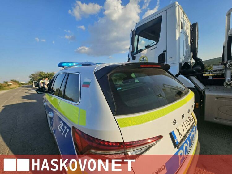 Пожарът край Рогозиново погълна между 50 и 100 дка сечище с дървен материал