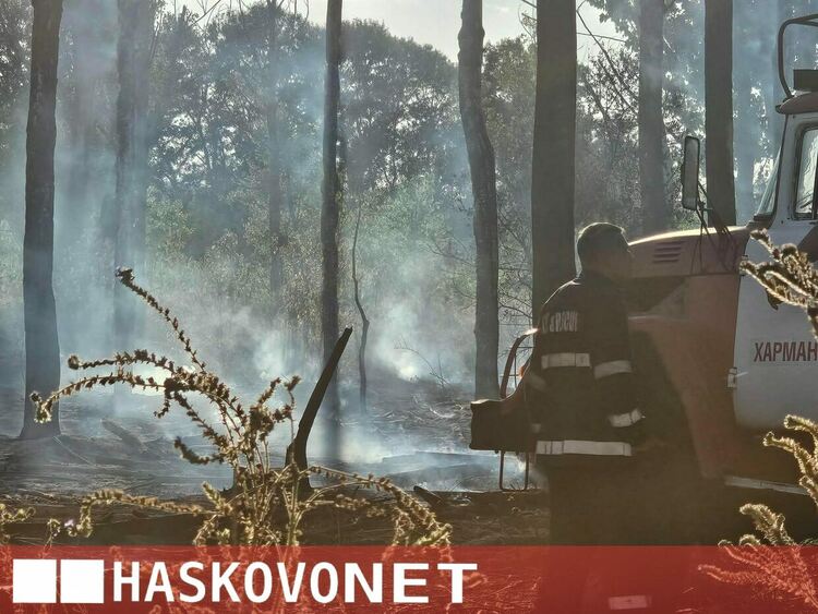 Огнена стихия край Рогозиново: Горят 100 декара гора и дървен материал