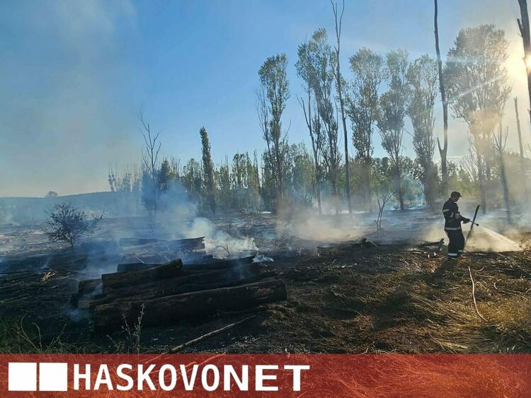 Огнена стихия край Рогозиново: Горят 100 декара гора и дървен материал