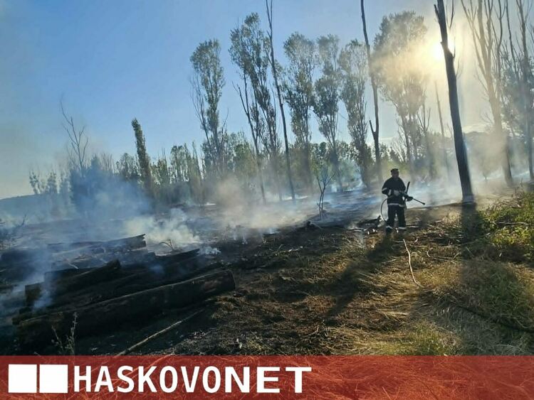 Пожарът край Рогозиново погълна между 50 и 100 дка сечище с дървен материал