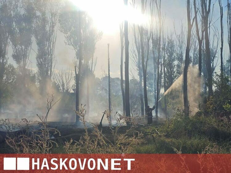 Огнена стихия край Рогозиново: Горят 100 декара гора и дървен материал