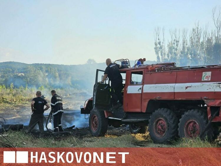 Пожарът край Рогозиново погълна между 50 и 100 дка сечище с дървен материал