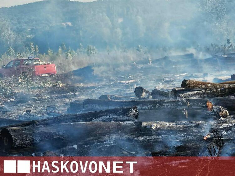 Огнена стихия край Рогозиново: Горят 100 декара гора и дървен материал