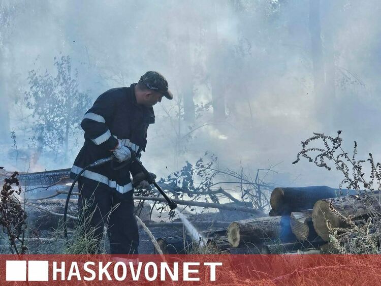 Огнена стихия край Рогозиново: Горят 100 декара гора и дървен материал