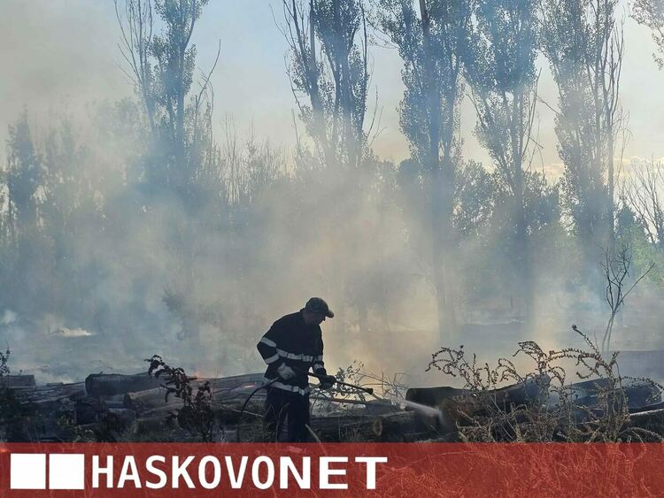 Огнена стихия край Рогозиново: Горят 100 декара гора и дървен материал